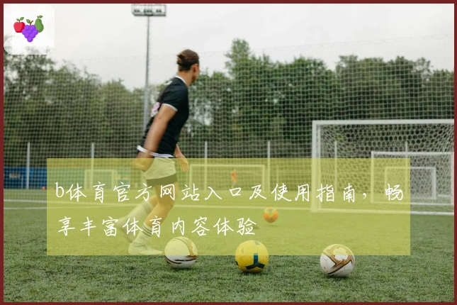 b体育官方网站入口及使用指南，畅享丰富体育内容体验