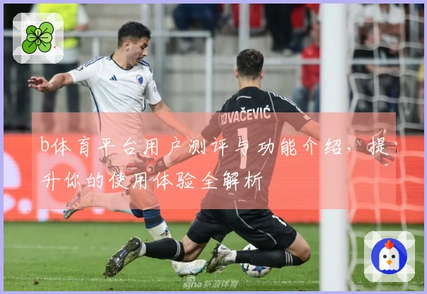 b体育平台用户测评与功能介绍，提升你的使用体验全解析