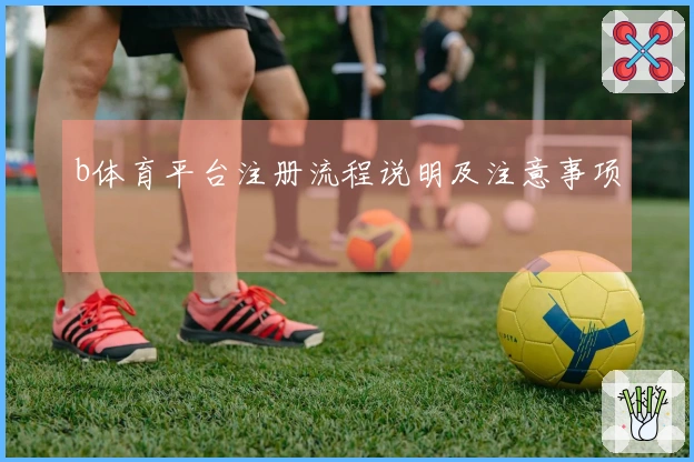 b体育平台注册流程说明及注意事项