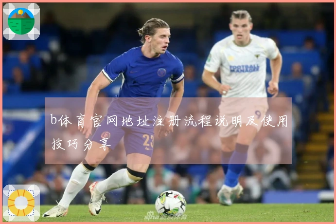 b体育官网地址注册流程说明及使用技巧分享