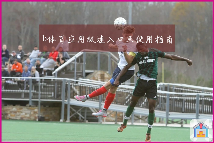 b体育应用极速入口及使用指南
