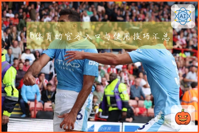 b体育的官方入口与使用技巧汇总