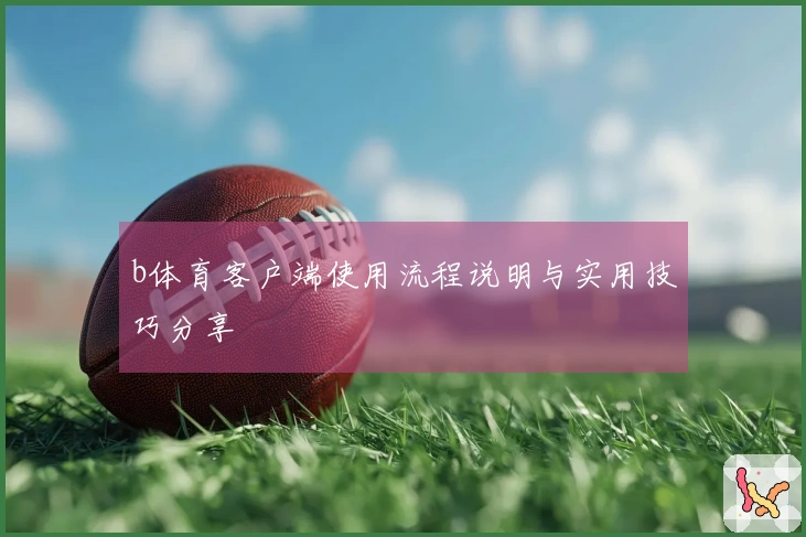 b体育客户端使用流程说明与实用技巧分享