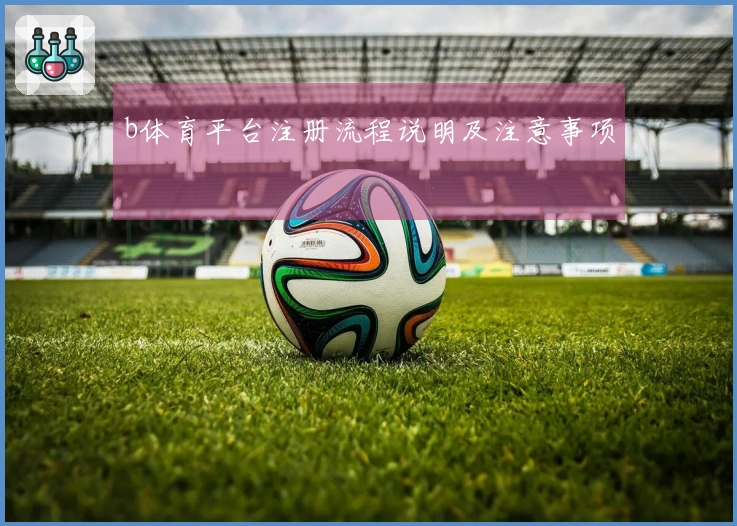 b体育平台注册流程说明及注意事项