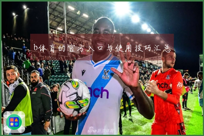 b体育的官方入口与使用技巧汇总