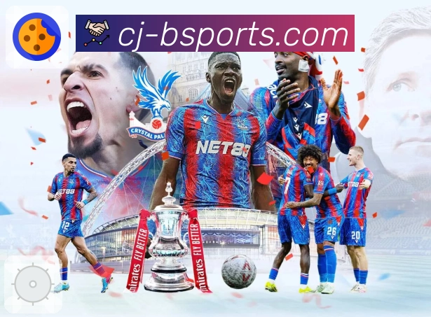 b体育 精彩赛事